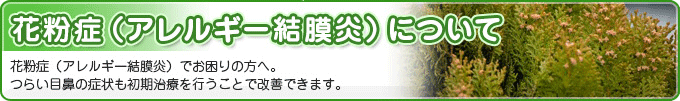 花粉症（アレルギー結膜炎）について