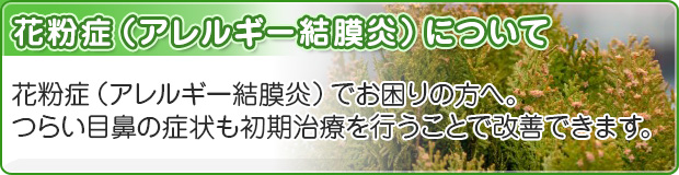 花粉症（アレルギー結膜炎）について